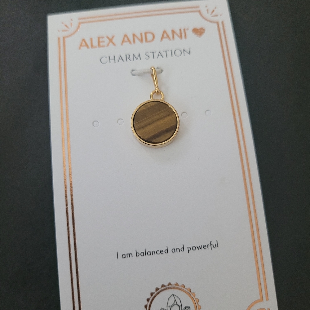 BRAND NEW - TIGER EYE - Alex and Ani Charm